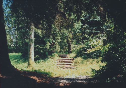 Arboretum terasy